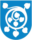 Luster kommune